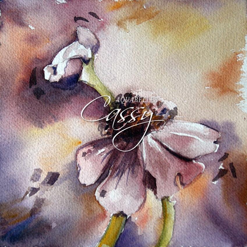 Anemone 20 cm X 20 cm